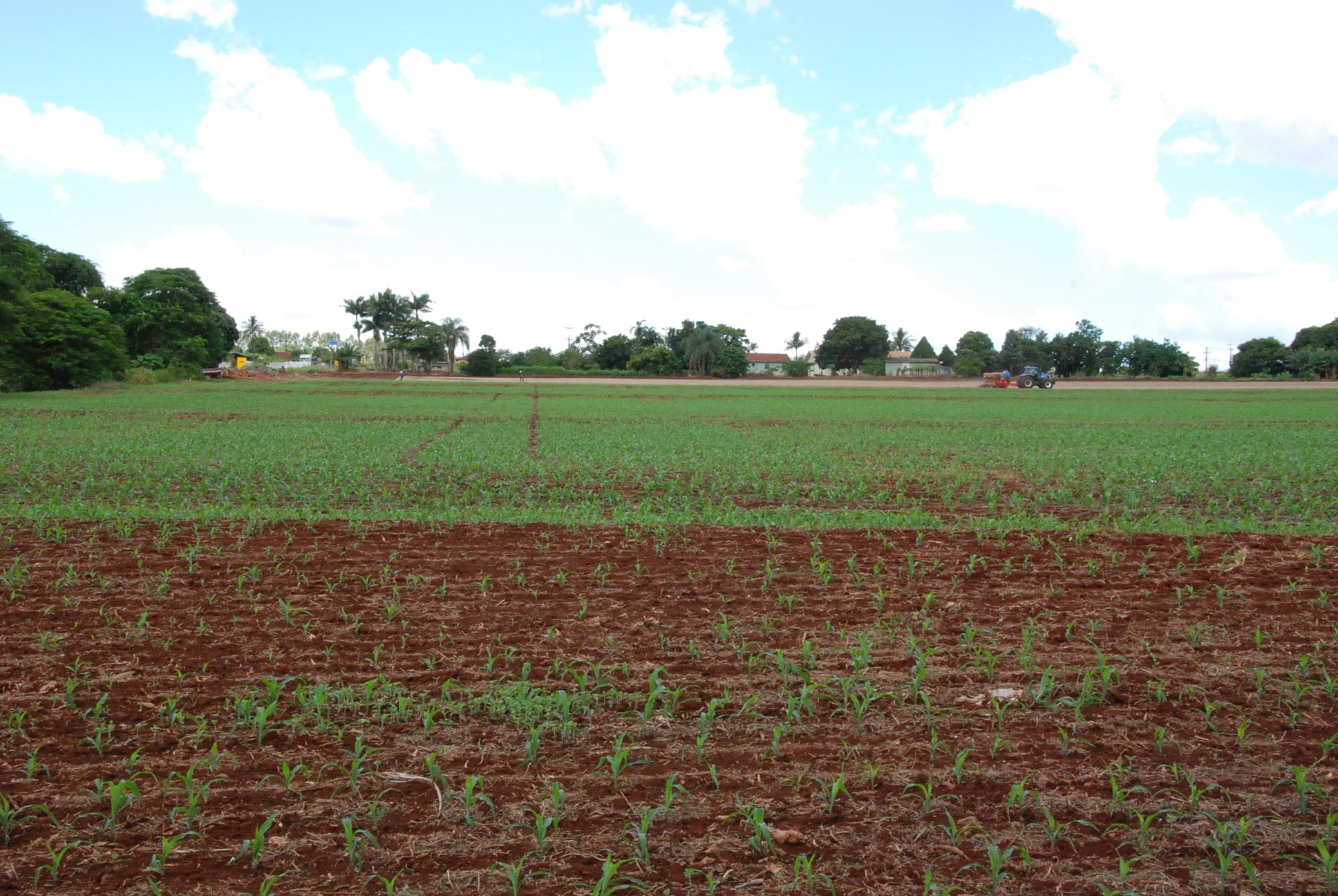 DSC_0259 - Copia - Copia