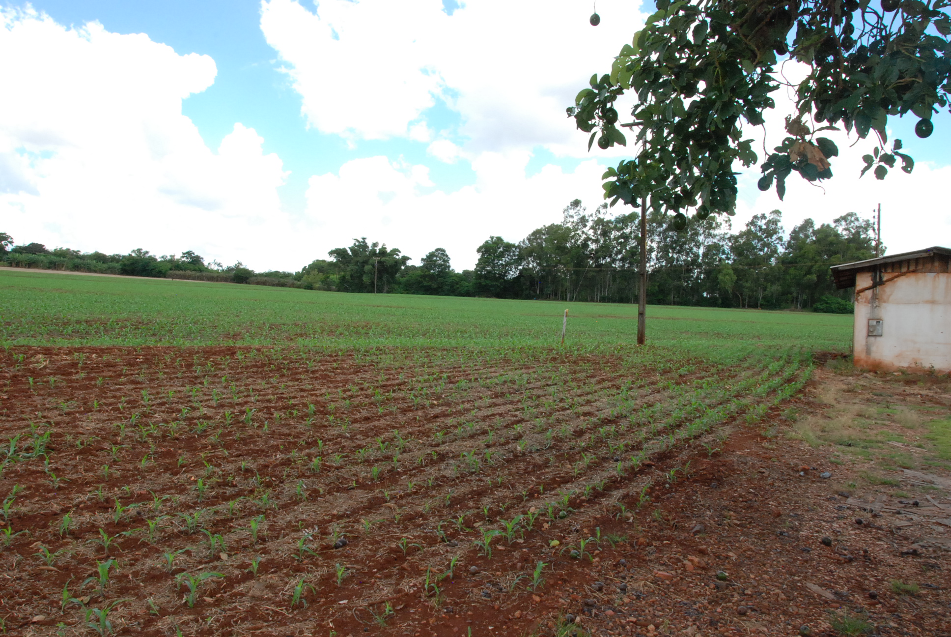 DSC_0260 - Copia - Copia