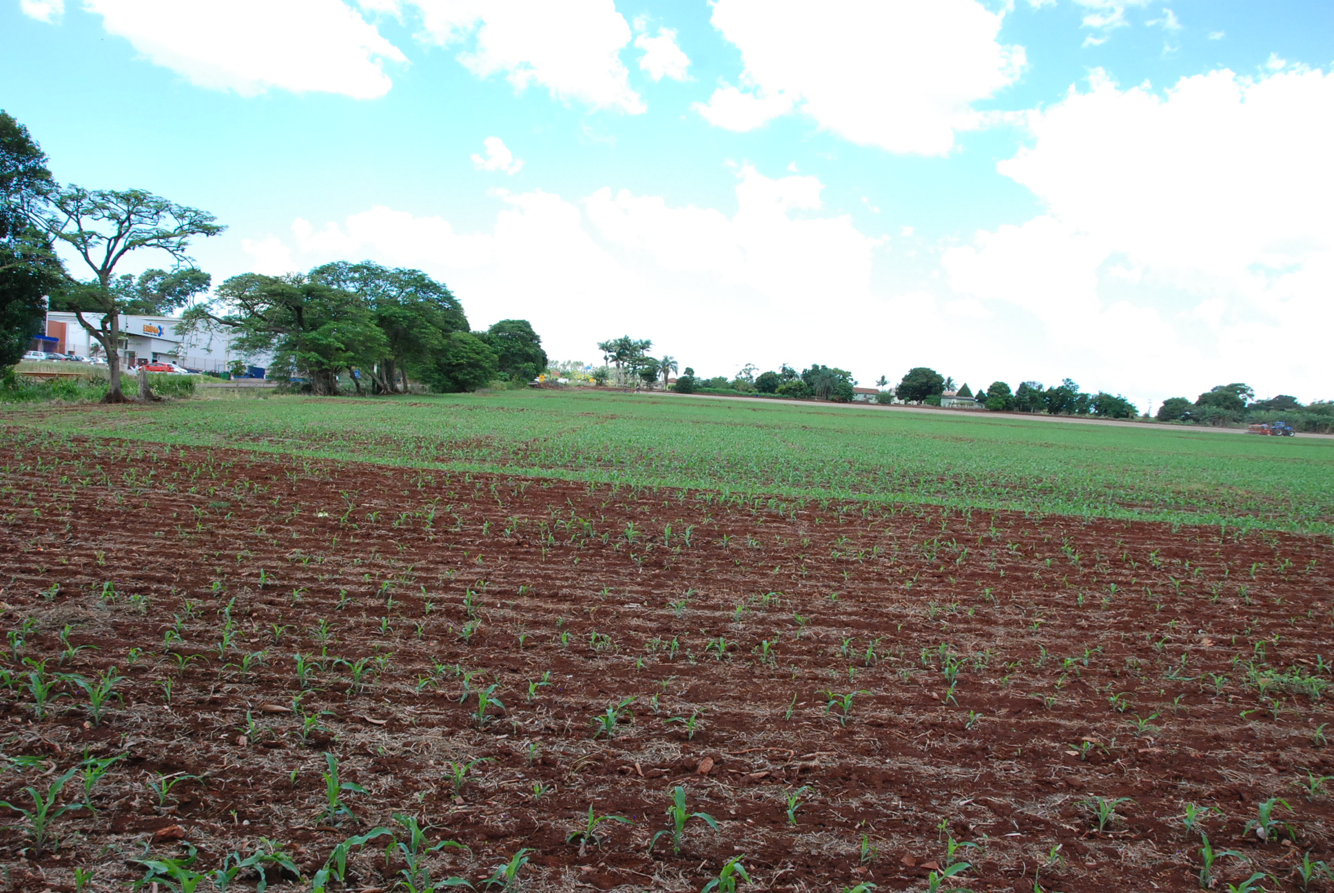 DSC_0262 - Copia - Copia