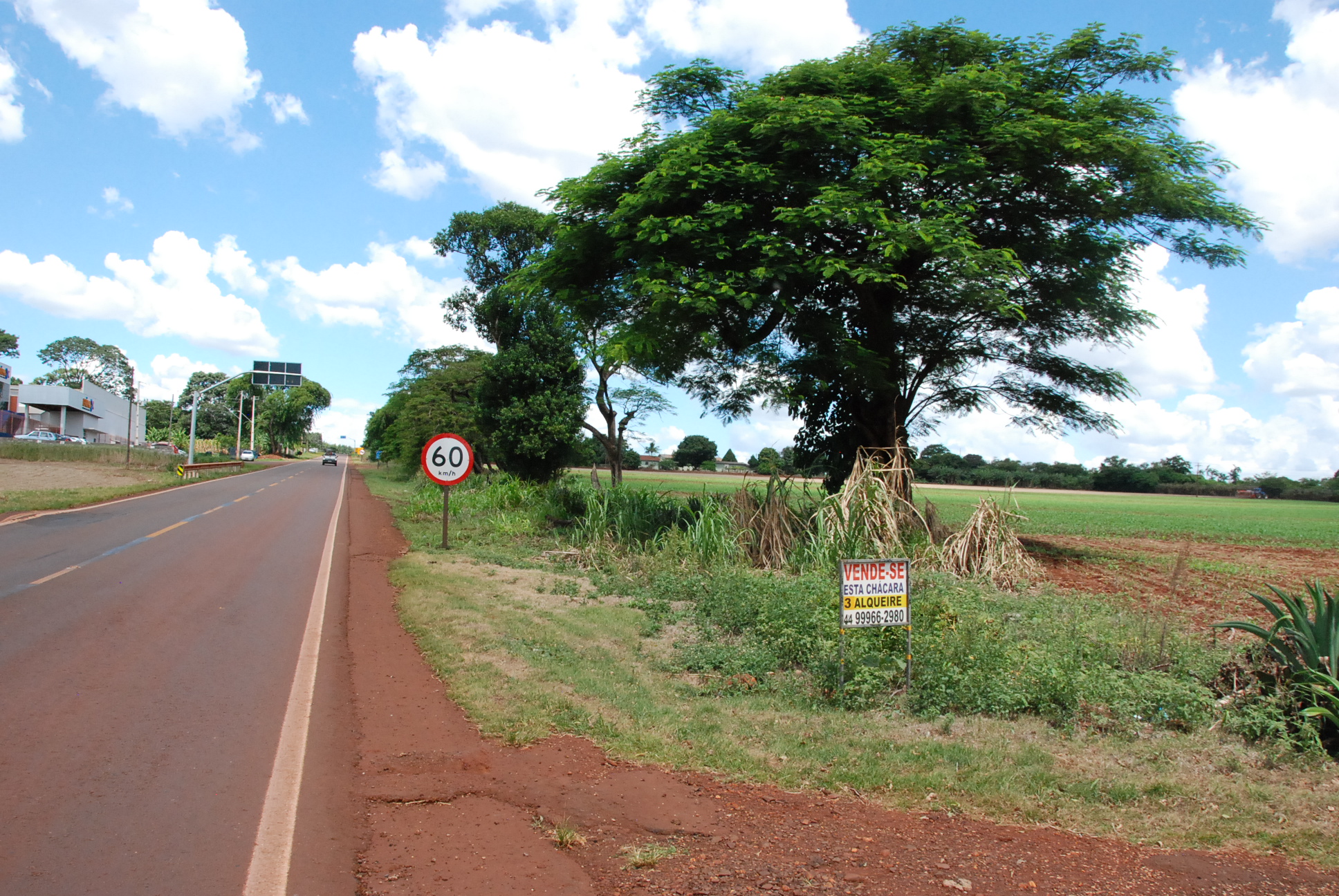 DSC_0265 - Copia - Copia