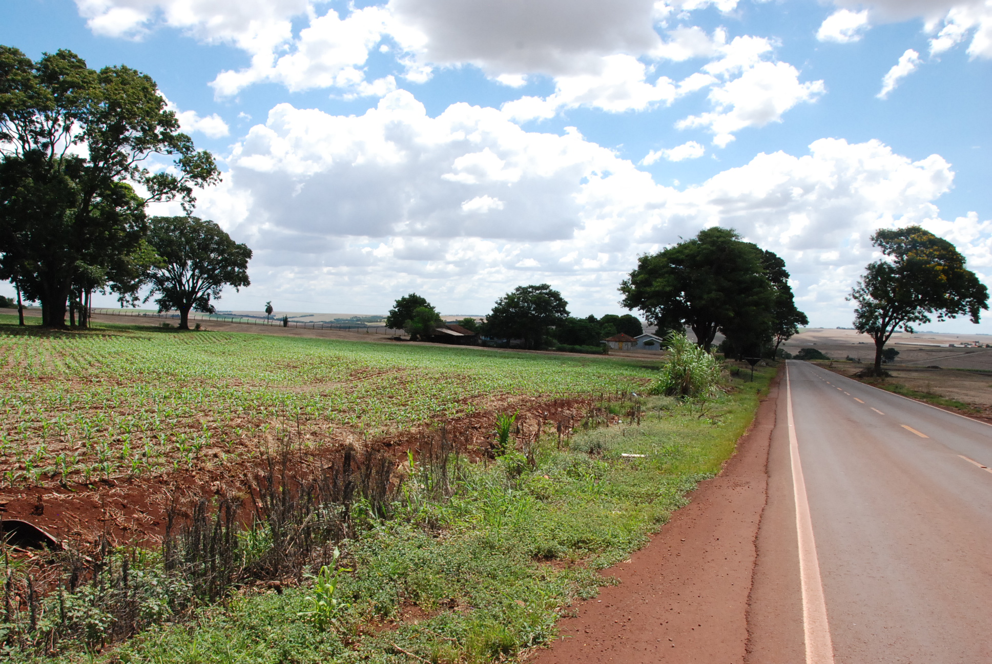 DSC_0266 - Copia - Copia