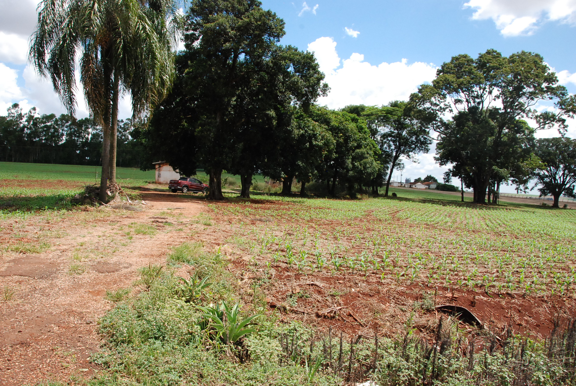 DSC_0268 - Copia (2)