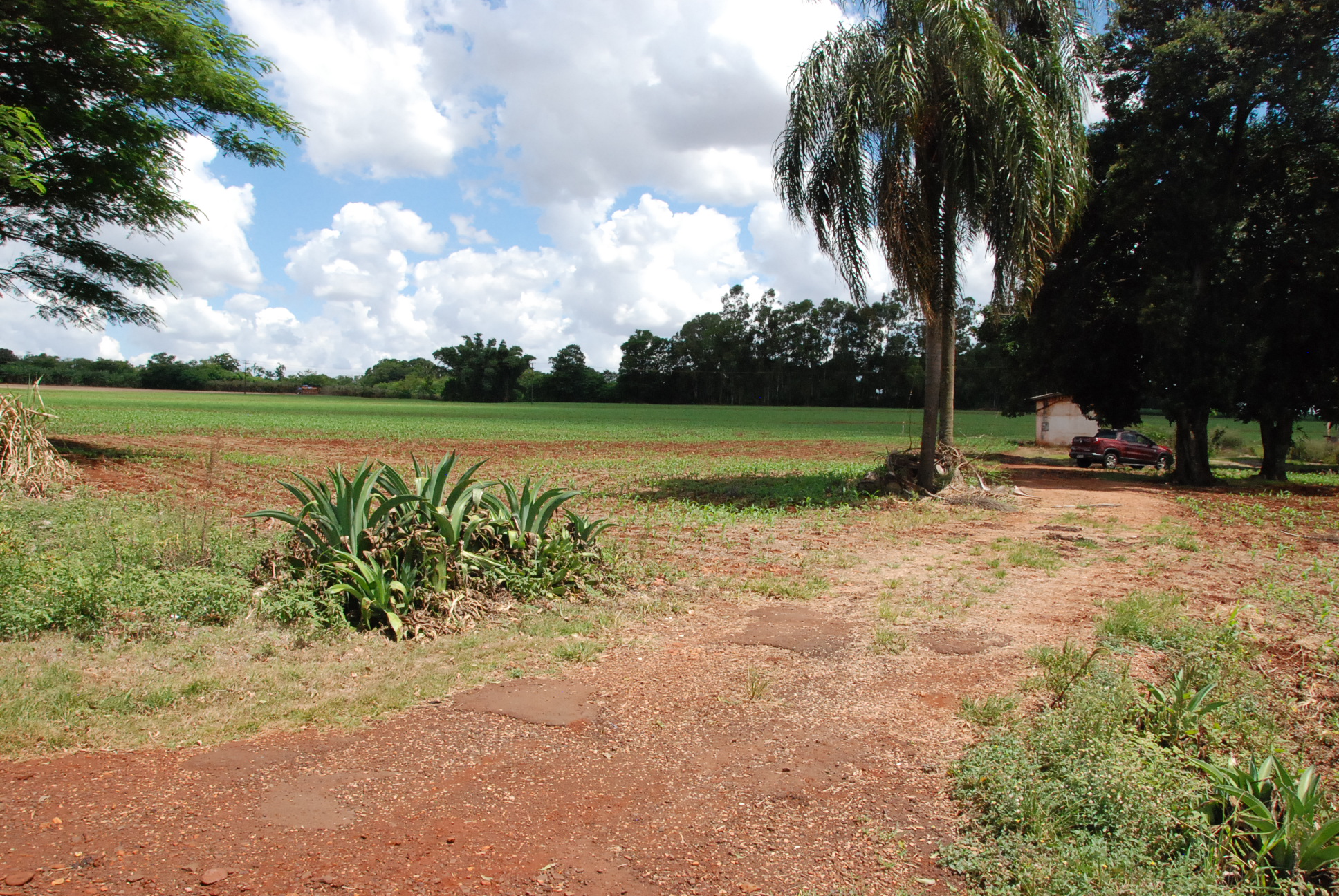 DSC_0269 - Copia - Copia