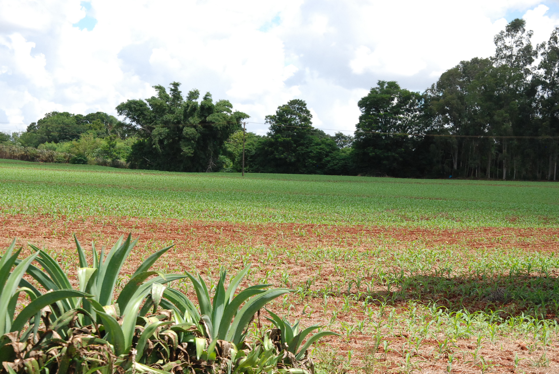 DSC_0270 - Copia (2)