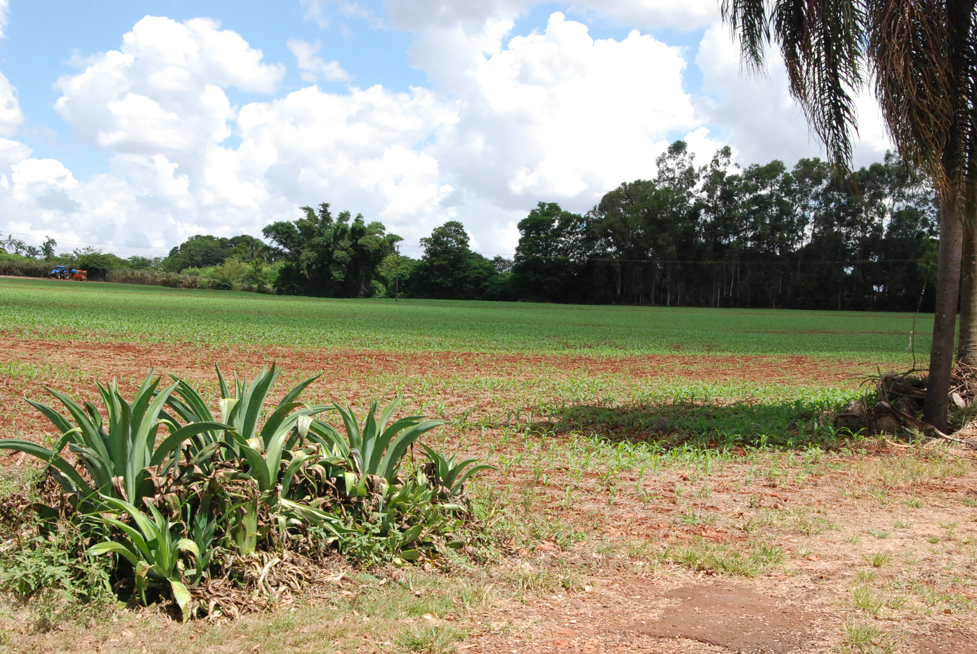 DSC_0271 - Copia - Copia