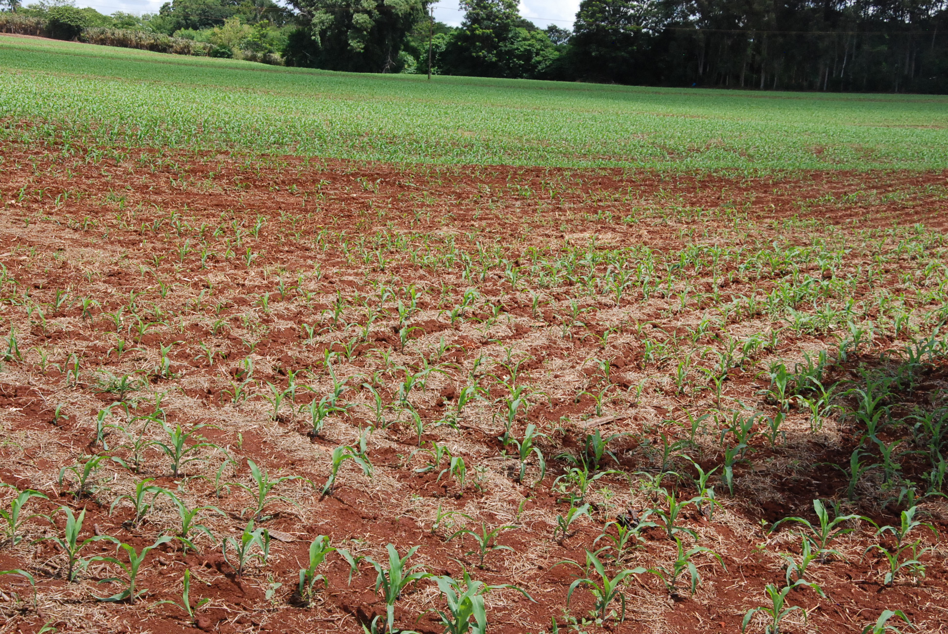 DSC_0274 - Copia (2)