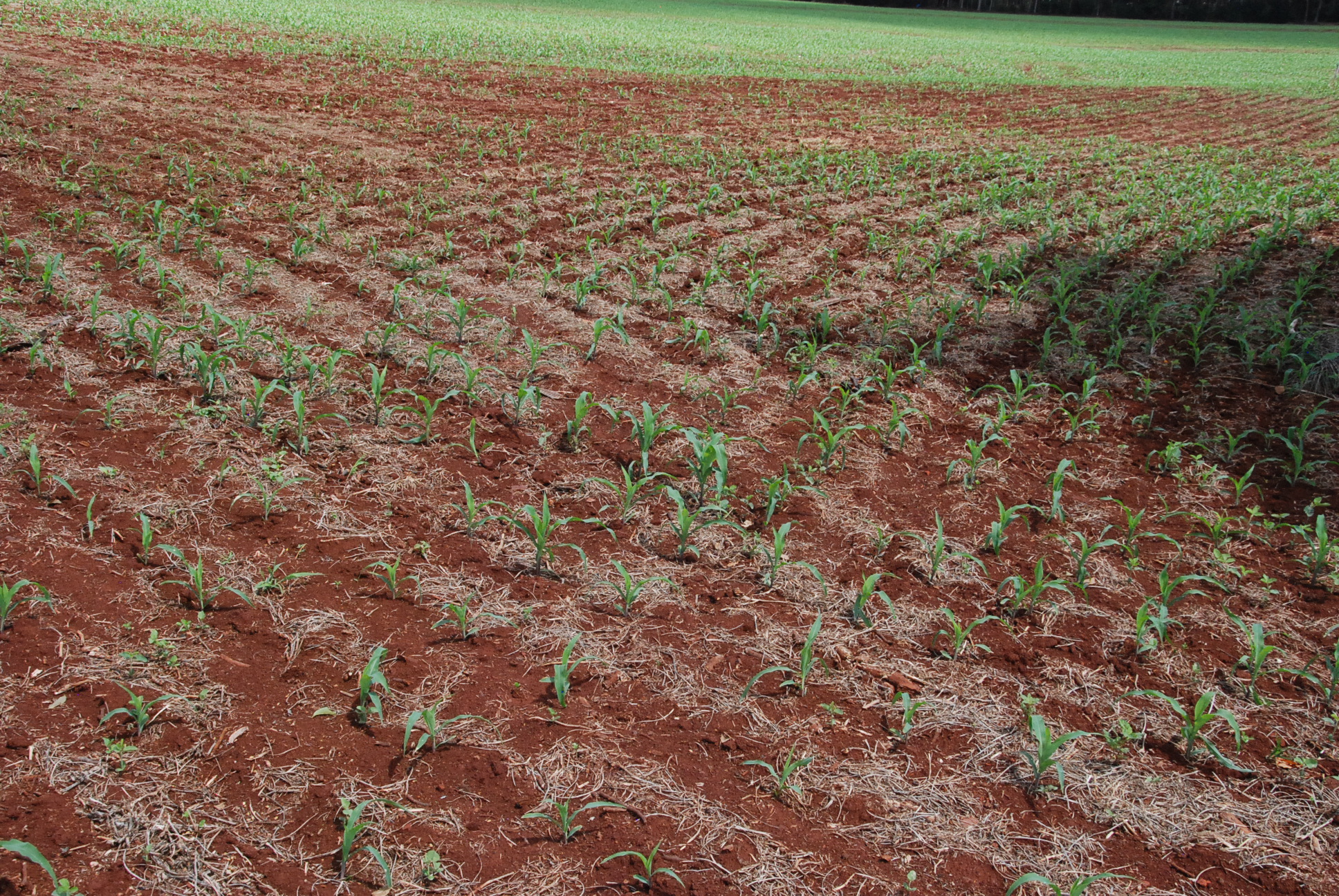 DSC_0275 - Copia - Copia