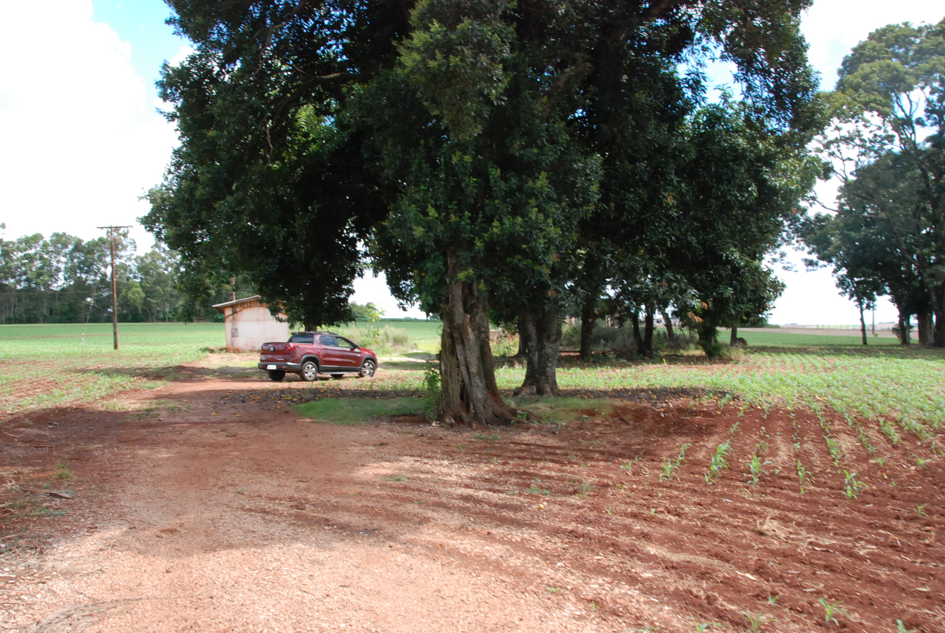 DSC_0277 - Copia (2)