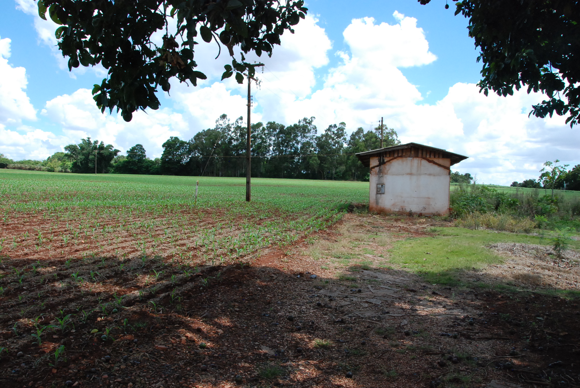 DSC_0282 - Copia (2)