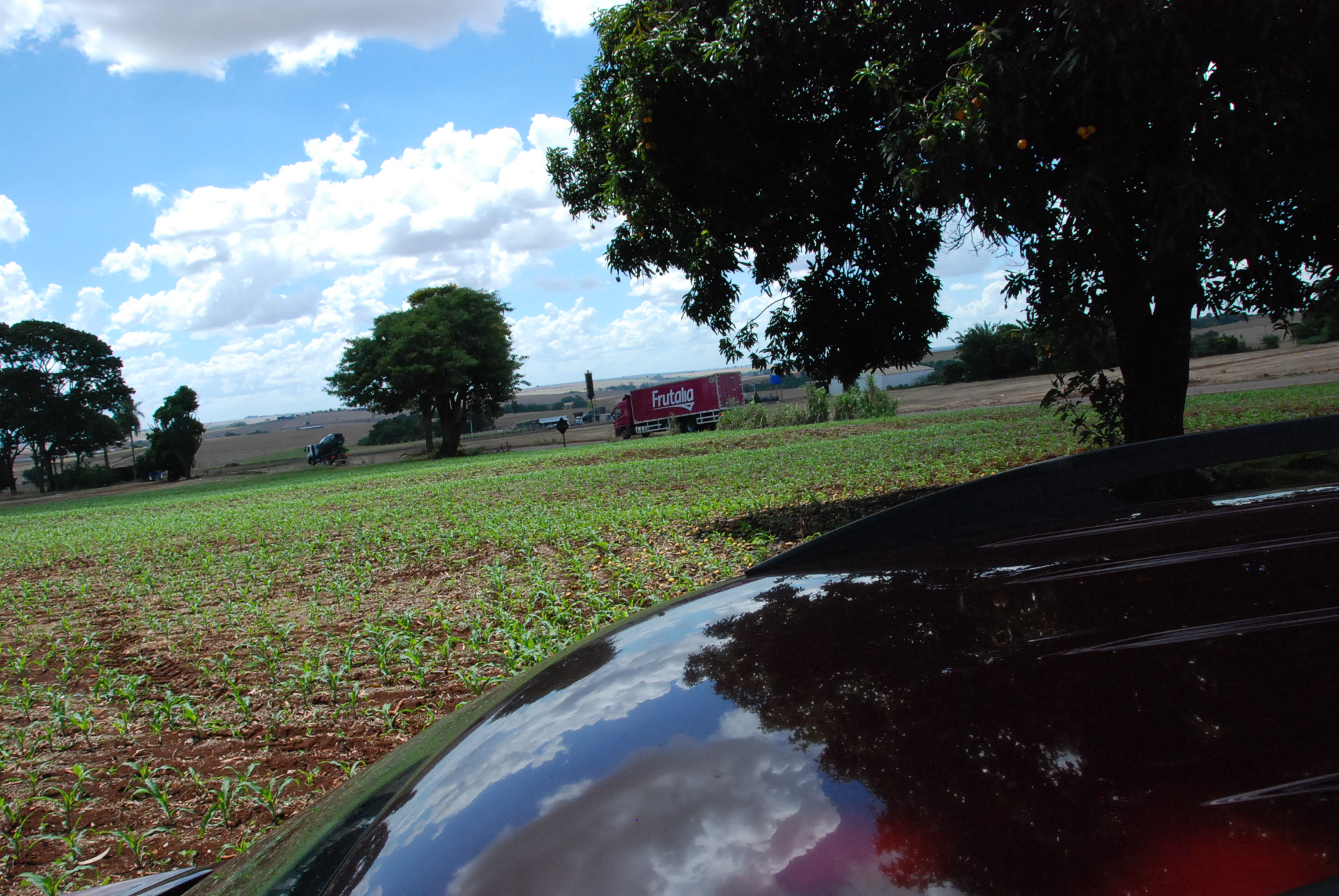 DSC_0285 - Copia (2)